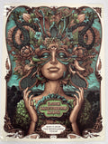 27 - Dave Matthews Band - Woodlands, TX - 2017 NC Winters Print