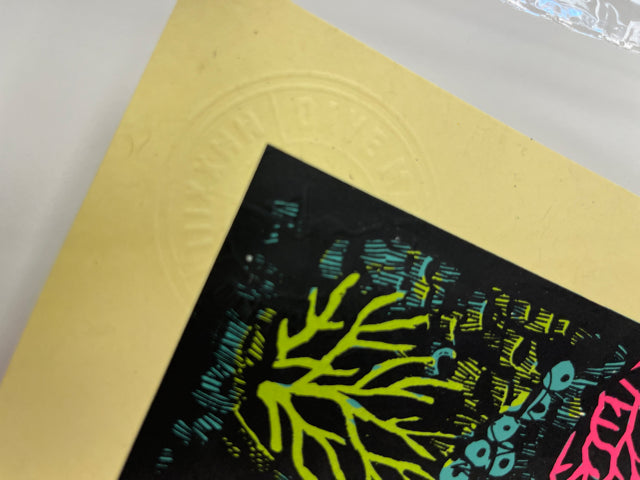 37 - Dave Matthews Band - The Warf Orange Beach, AL - 2023 Methane Studios Print