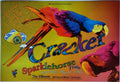 F223 Cracker, The Fillmore by Amacker Bullwinkle - May 11, 1996 - San Francisco, Fillmore Gig Print