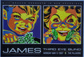 F270 James, Third Eye Blind, The Fillmore by James A Winters - May 5, 1997 - San Francisco, Fillmore Gig Print