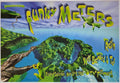 F327 The Funky Meters, (Signed by Ferris) The Fillmore by Carolyn Ferris - May 8-9, 1998 - San Francisco, Fillmore Gig Print