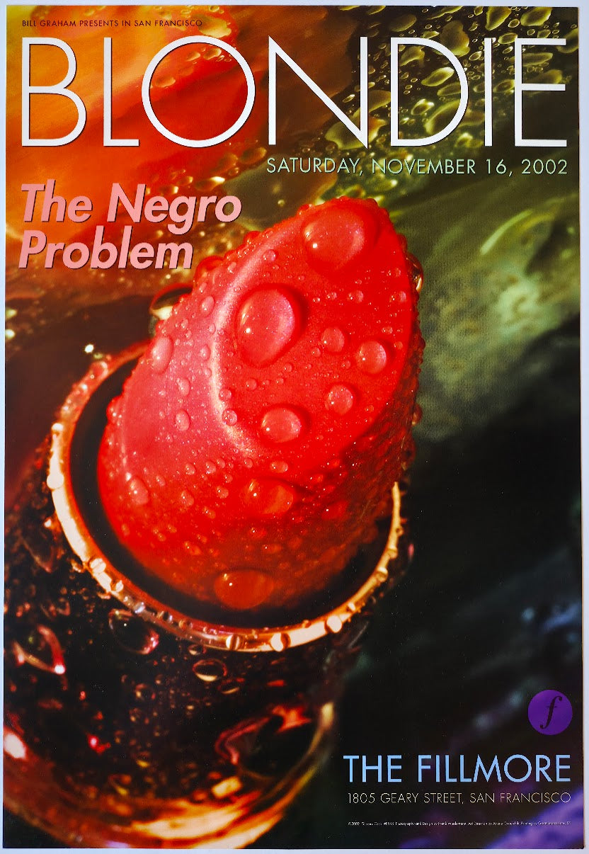 F544 Blondie, The Fillmore by Frank Wiedmann - November 16, 2002 - San Francisco, Fillmore Gig Print