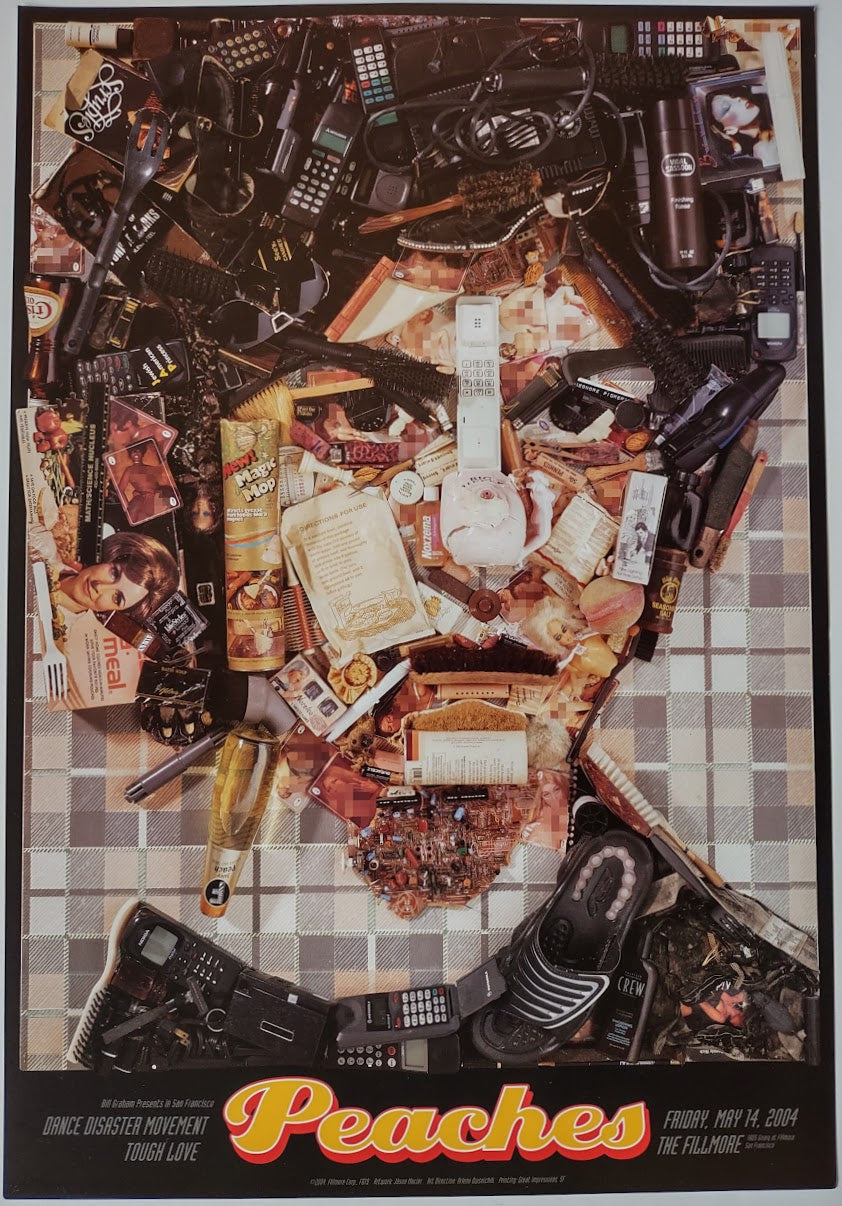 F619 Peaches, The Fillmore by Jason Mecier - May 14, 2004 - San Francisco, Fillmore Gig Print