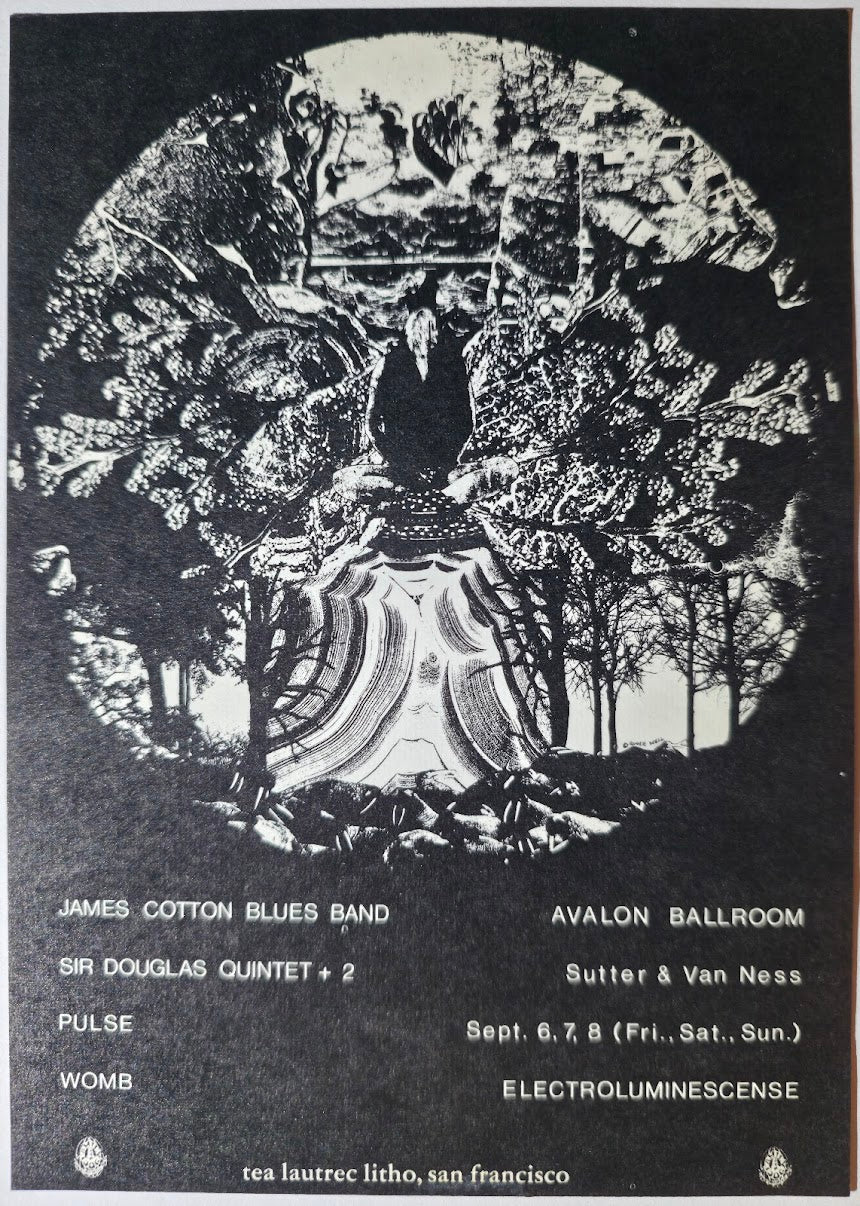 James Cotton Blues Band, The Sir Douglas Quintet, Pulse, Womb, The Avalon Ballroom by Roger Well - September 6-8, 1968 - Family Dog Vintage Postcard