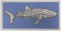 EMEK "Whaleshark" Grey Letterpress Print
