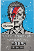 Brad Davis "Bowie"