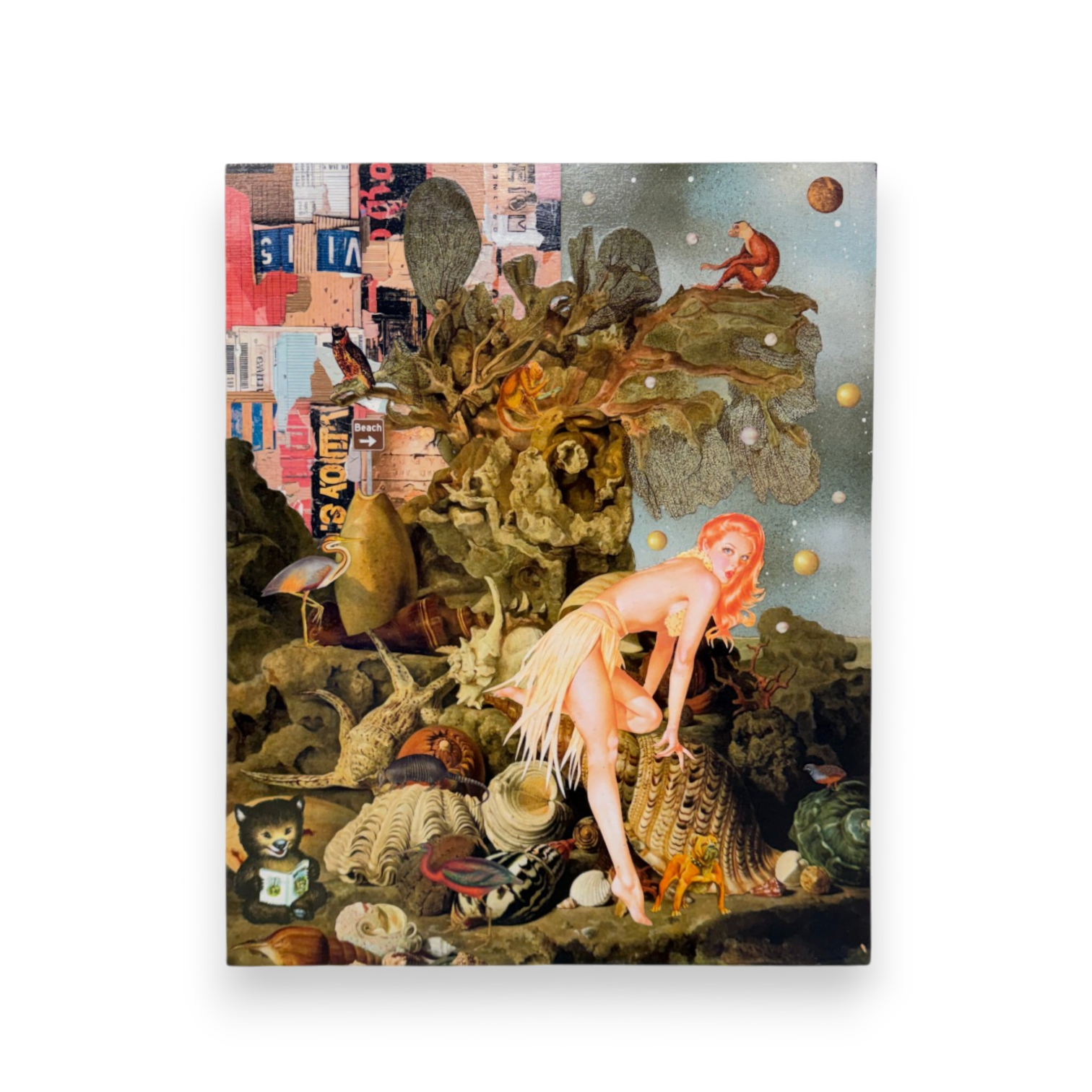 L. Croskey "She Sells Seashells By The Seashore"