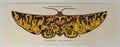 MAZZA "Mute Math - Los Angeles, CA" 2012 Print