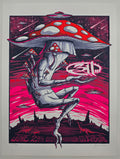 MAZZA "311 - Red Rocks, CO" 2024 Print