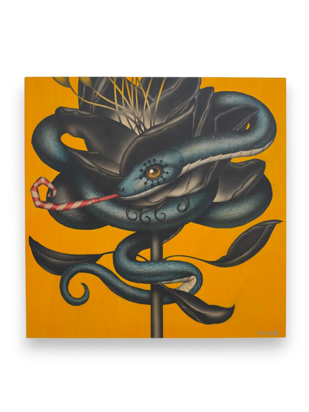 Amy Ning "Happy Snake"