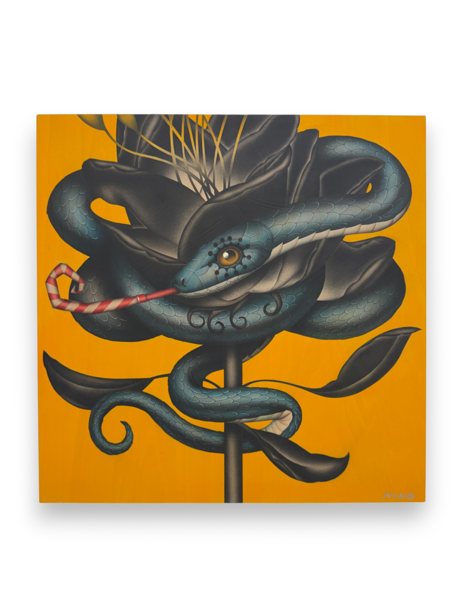 Amy Ning "Happy Snake"