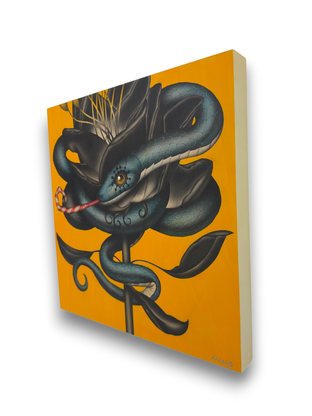 Amy Ning "Happy Snake"