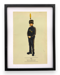 Thrifty Davinci "Field Officer Fendi"