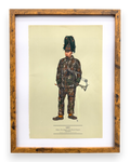 Thrifty Davinci "Field Officer Real Tree"