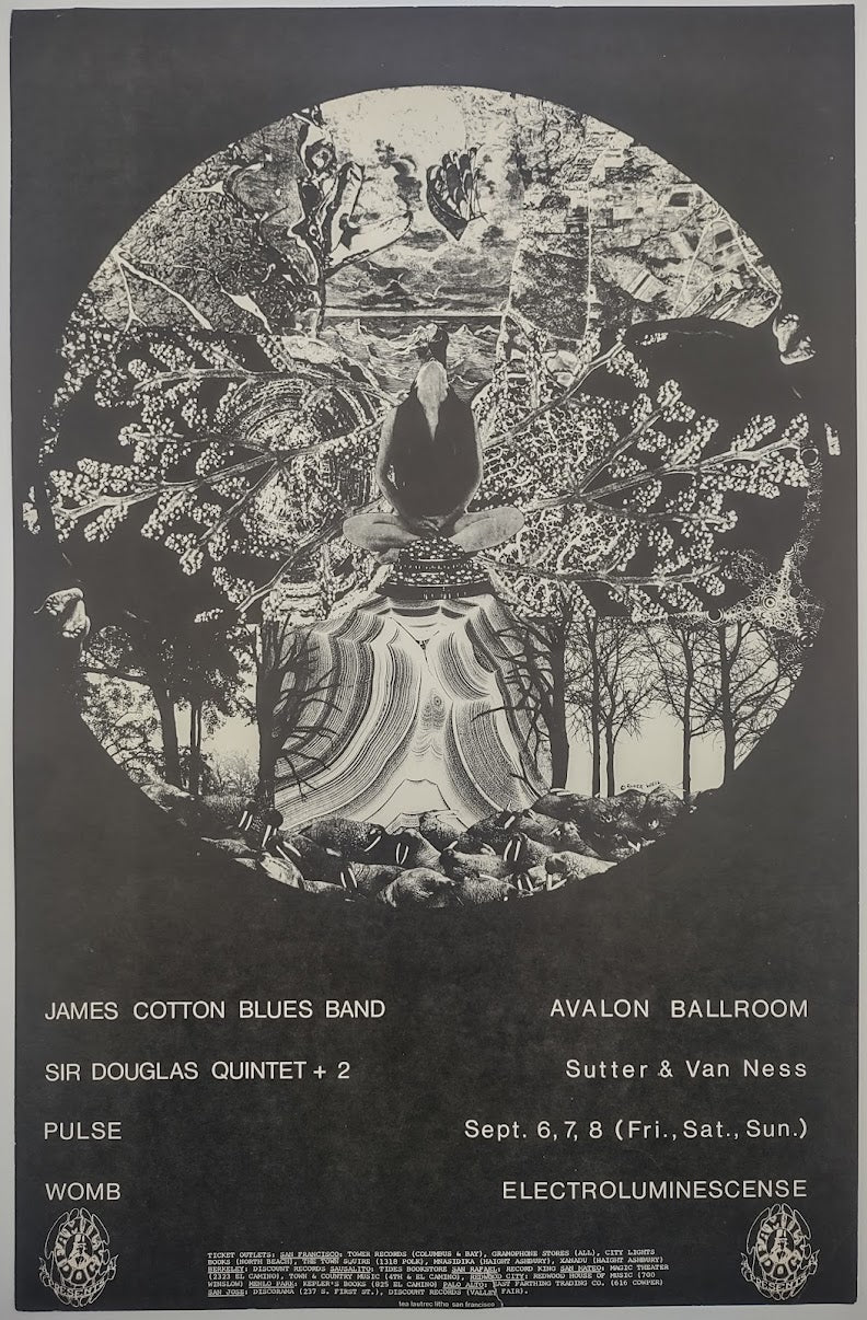 James Cotton Blues Band, The Avalon Ballroom by Roger Well - September 6-8, 1968 - Family Dog Vintage Gig Print
